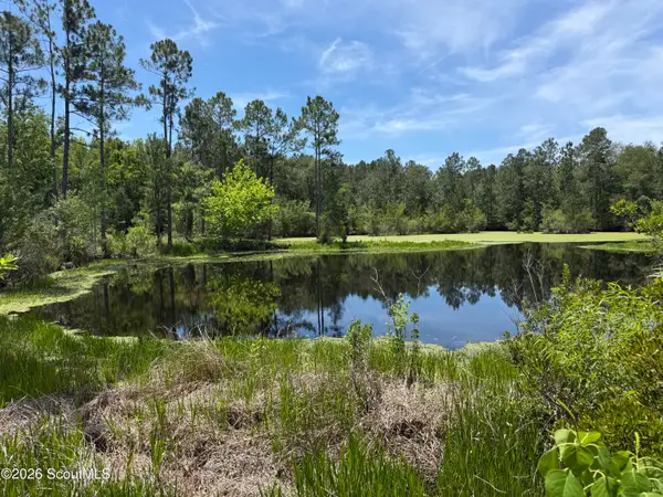 0 (19.95 Ac) Palmetto Drive, Waycross, GA 31501