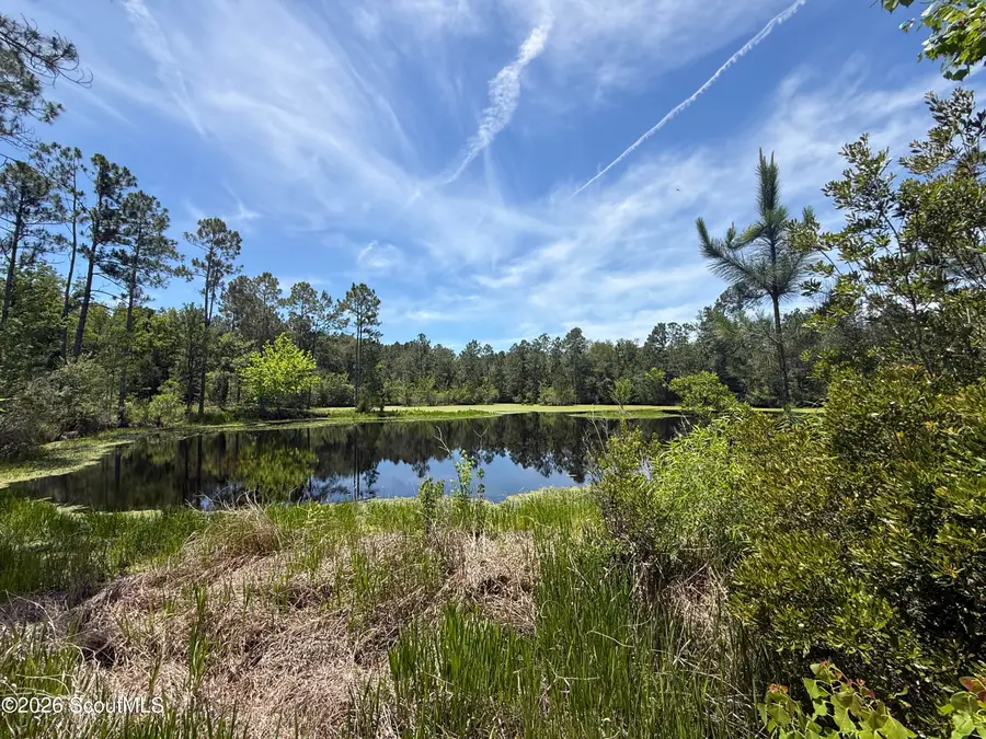 0 (19.95 Ac) Palmetto Drive, Waycross, GA 31501 - #2