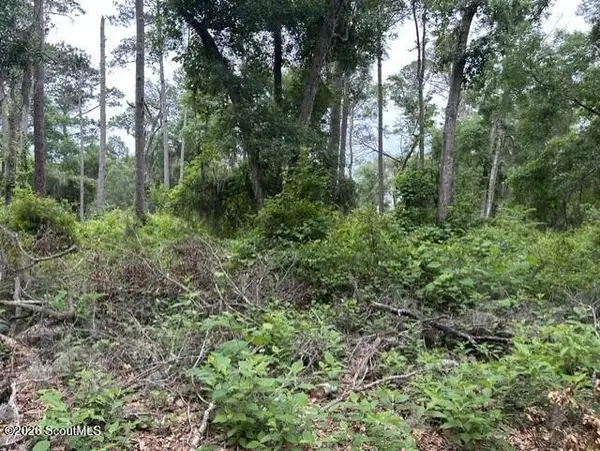 9 Lot Hudson Creek Court Se #Tolomato Island, Darien, GA 31305