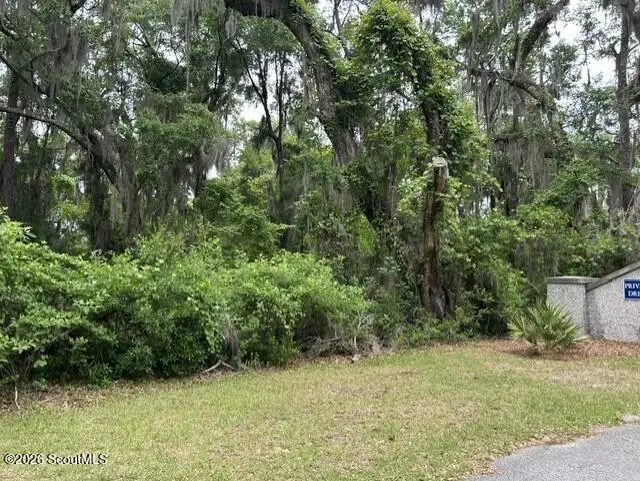 46 Lot St. Joseph's Drive Se #Tolomato Island, Darien, GA 31305 - #1