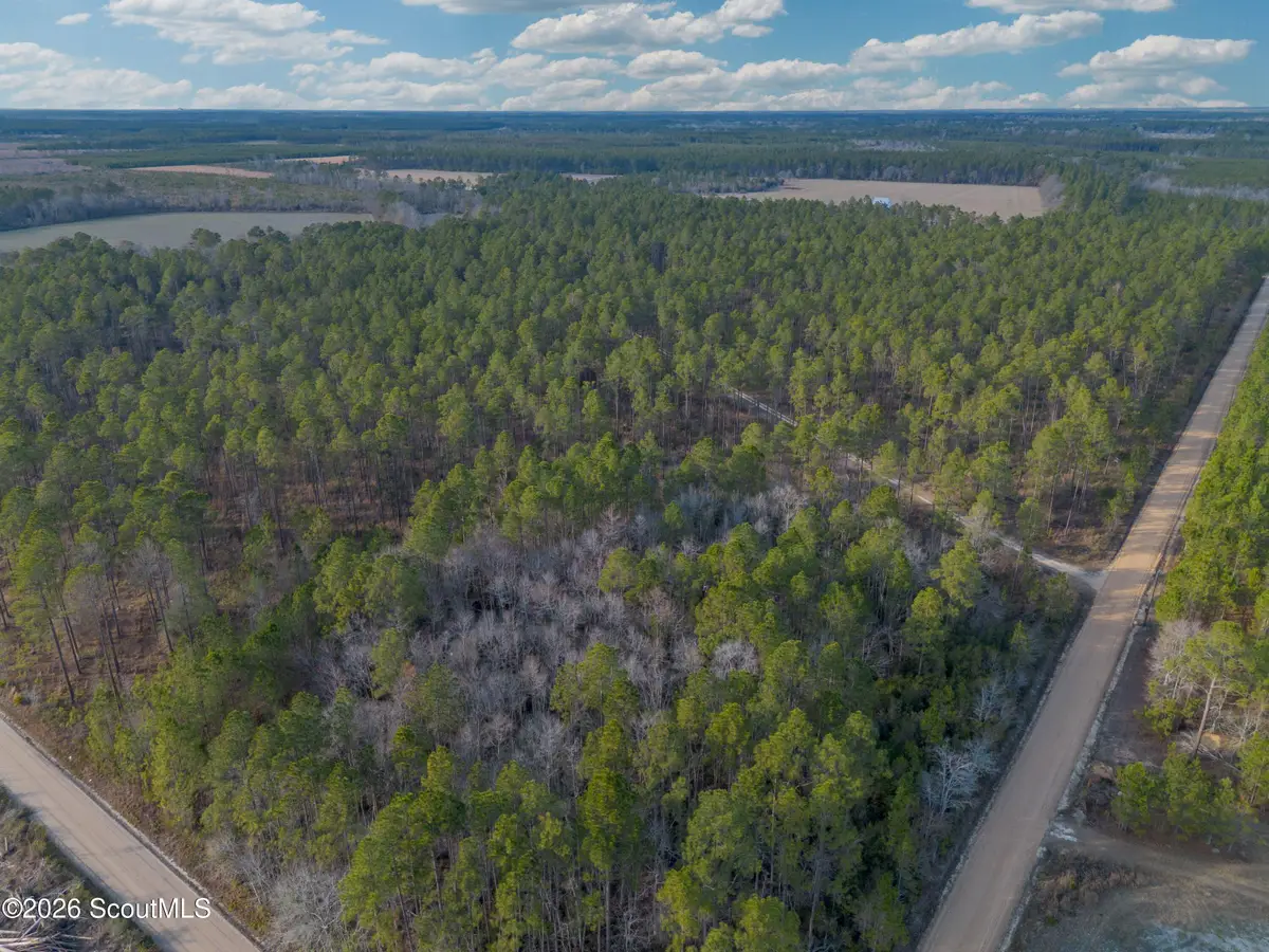 0 Reddish Road, Odum, GA 31555 - #1