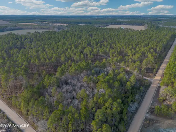 0 Reddish Road, Odum, GA 31555