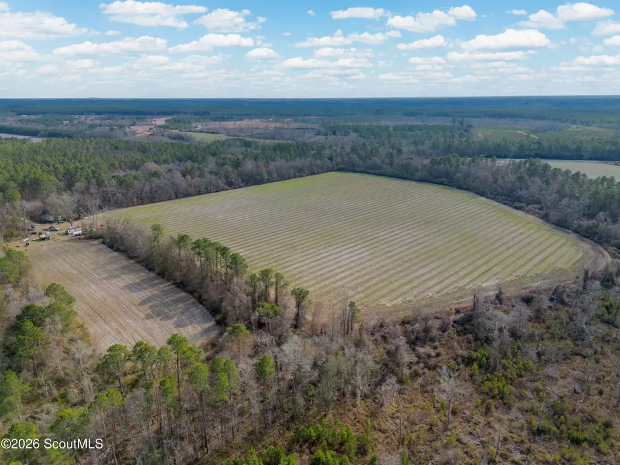 0 Reddish Road, Odum, GA 31555 - #3