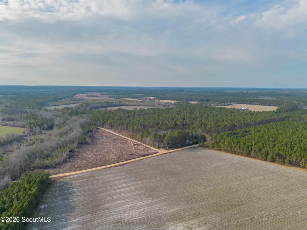 0 Reddish Road, Odum, GA 31555 - #1