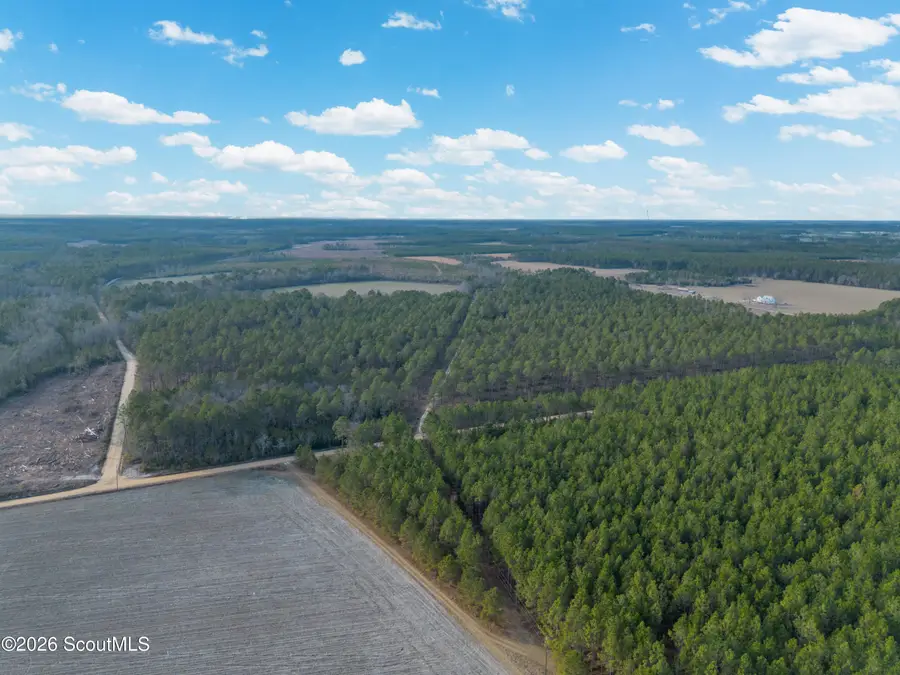 0 Reddish Road, Odum, GA 31555 - #2