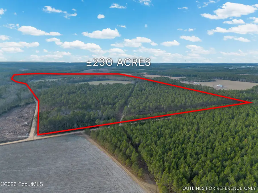 0 Reddish Road, Odum, GA 31555 - #3