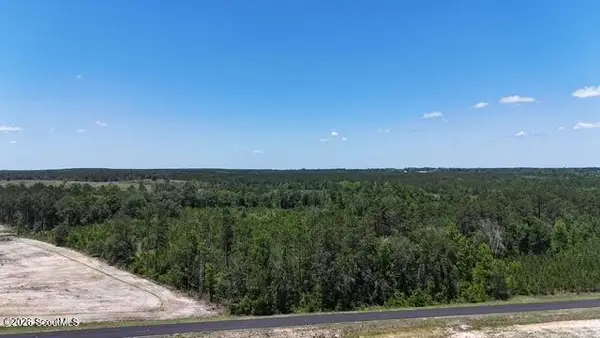 0 Oscar Tippins Road, Baxley, GA 31513