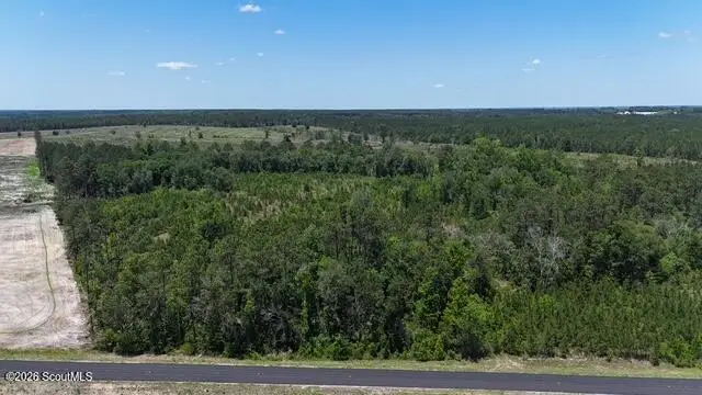 0 Oscar Tippins Road, Baxley, GA 31513 - #3
