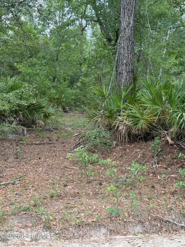 00 Sam's Trail Trail, Hortense, GA 31543