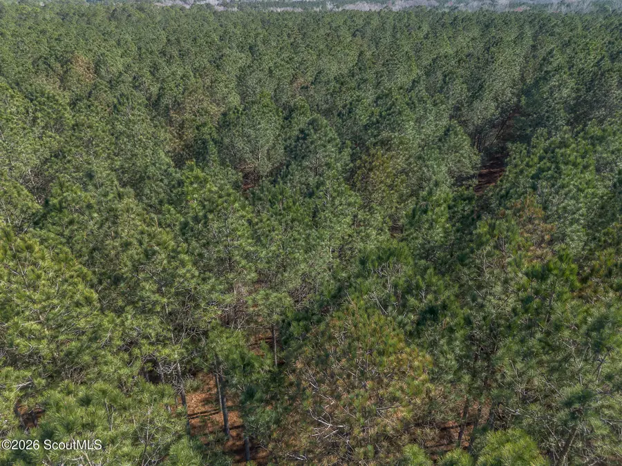 Lot 3 Ben Giddens Road, Eastman, GA 31023 - #3