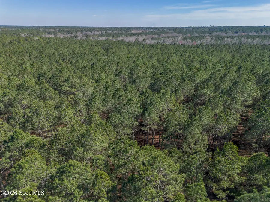 Lot 2 Ben Giddens Road, Eastman, GA 31023 - #3