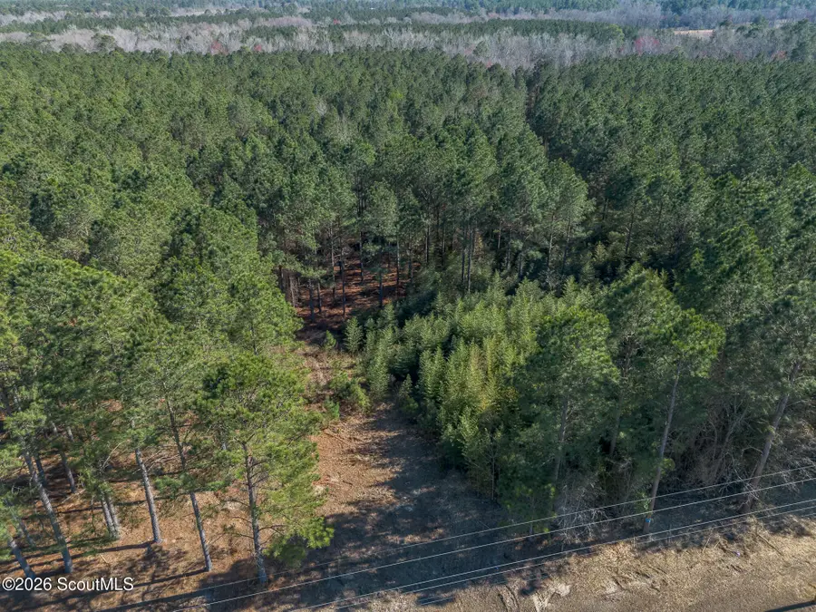 Lot 1 Ben Giddens Road, Eastman, GA 31023 - #3