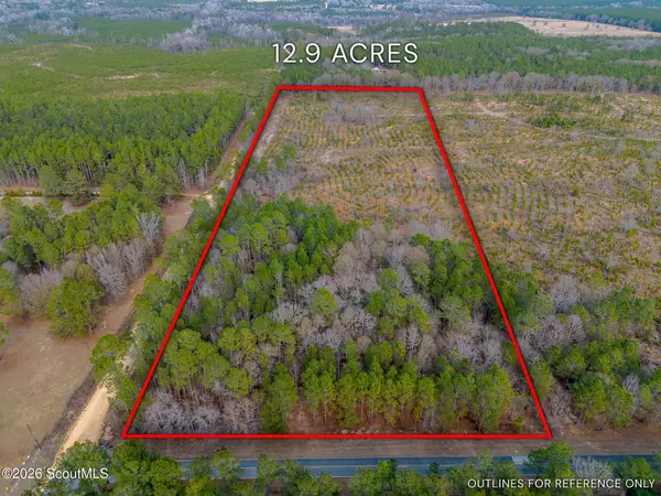 Tract 1 Wilson Woodard Road, Hawkinsville, GA 31036