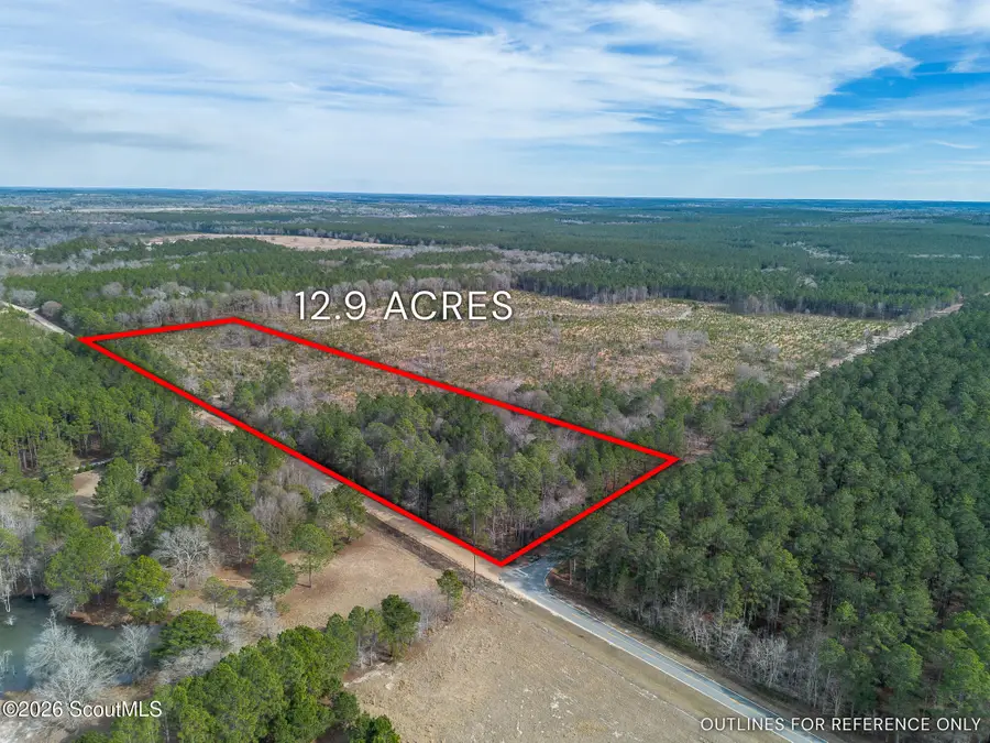 Tract 1 Wilson Woodard Road, Hawkinsville, GA 31036 - #2