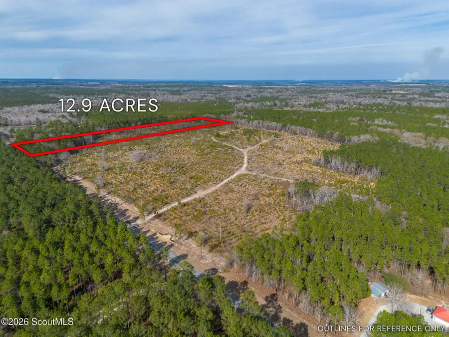 Tract 1 Wilson Woodard Road, Hawkinsville, GA 31036 - #3