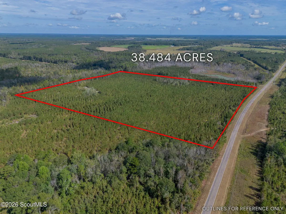 Tract 2 Kinnett Road, Jacksonville, GA 31544 - #1