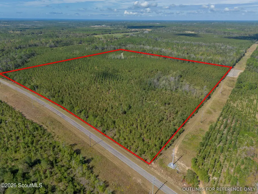 Tract 2 Kinnett Road, Jacksonville, GA 31544 - #3