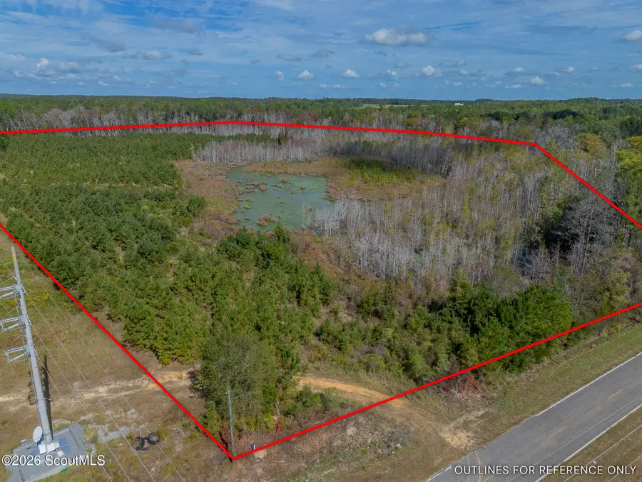Tract 1 Kinnett Road, Jacksonville, GA 31544 - #2