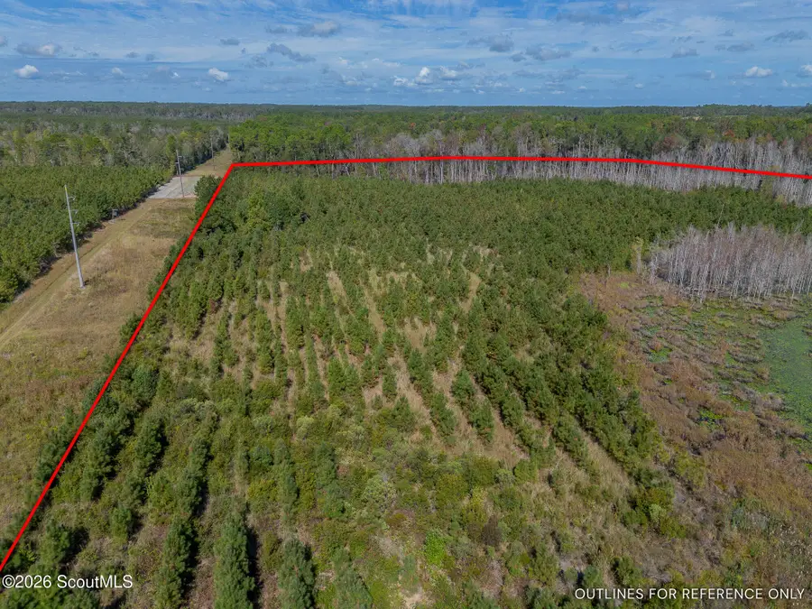 Tract 1 Kinnett Road, Jacksonville, GA 31544 - #3