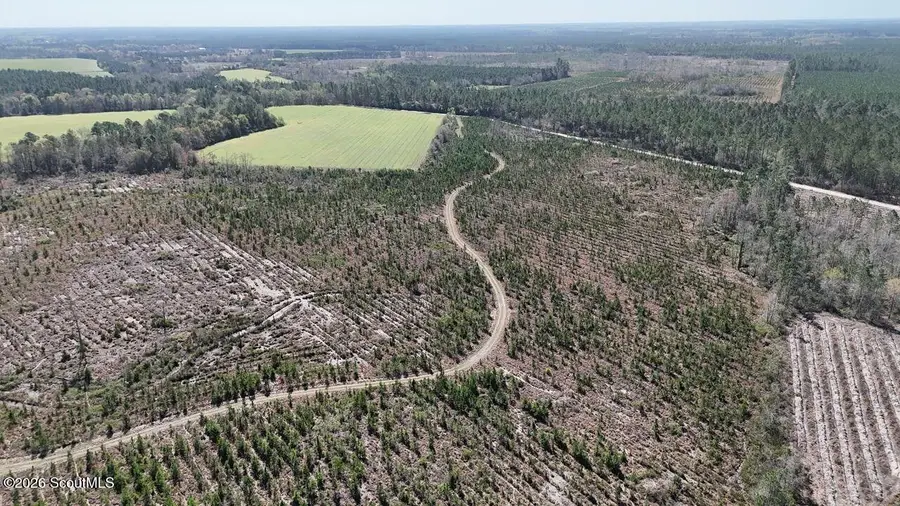 Tract 6 Ingram Road, Odum, GA 31555 - #3