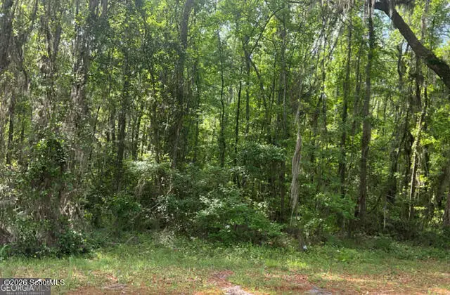 0 Young Man Road Ne, Townsend, GA 31331 - #1