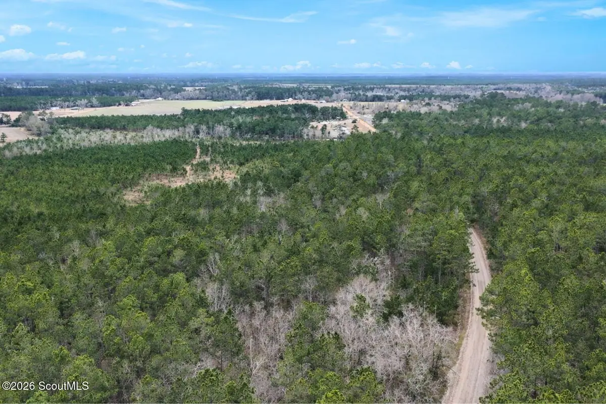 Tract 1 Wheaton Road, Odum, GA 31555 - #1