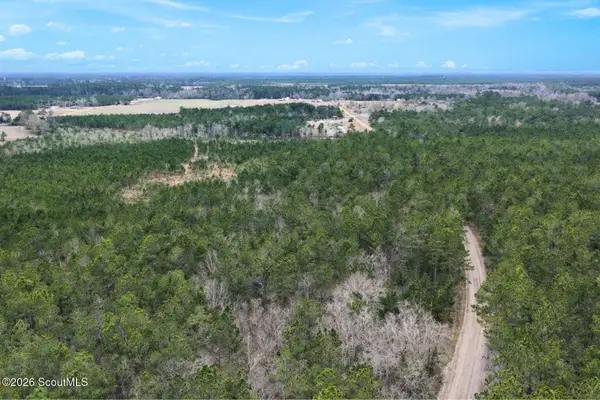 Tract 1 Wheaton Road, Odum, GA 31555