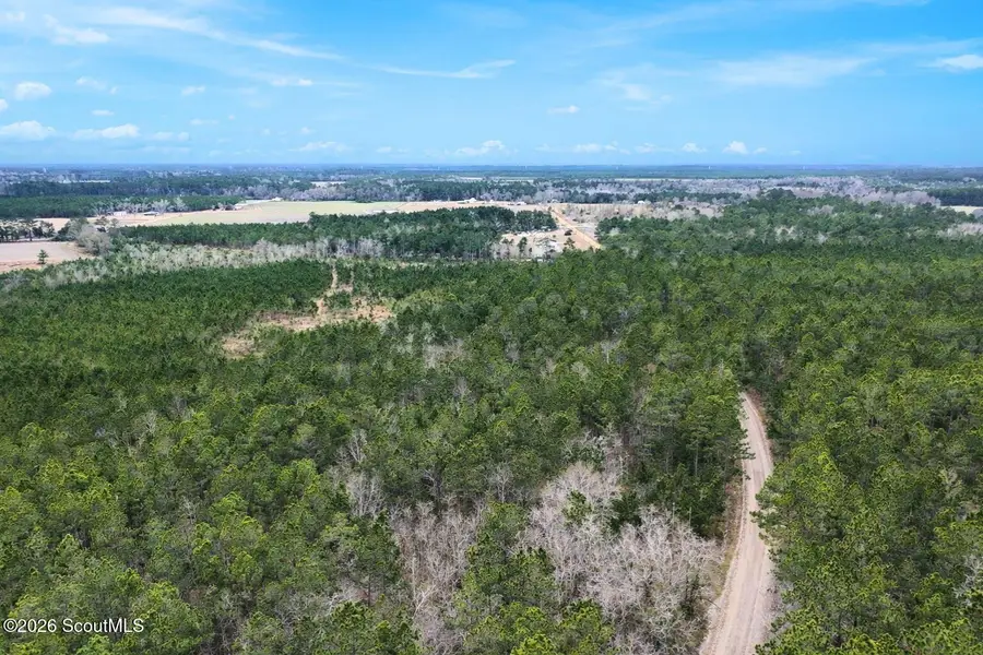 Tract 1 Wheaton Road, Odum, GA 31555 - #3