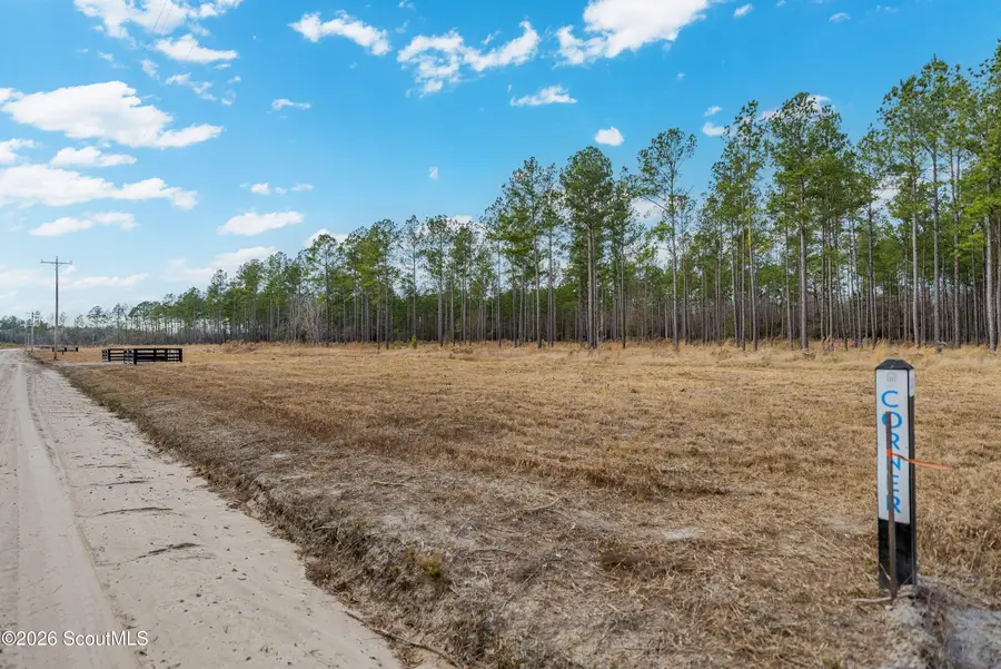 Lot 19 Lanes Church Road, Brooklet, GA 30415 - #2
