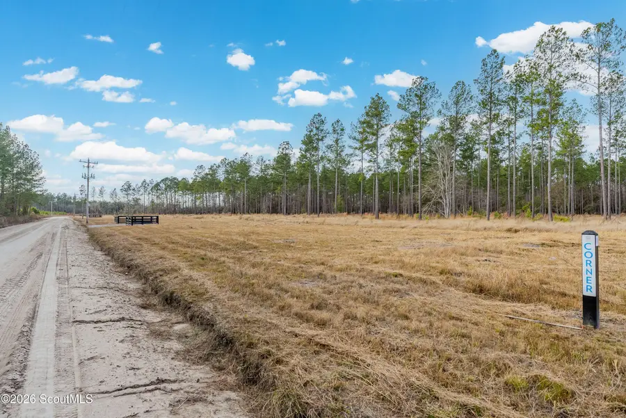 Lot 18 Lanes Church Road, Brooklet, GA 30415 - #2