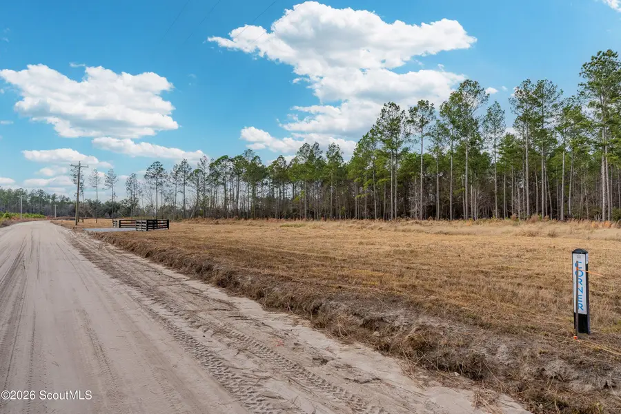 Lot 17 Lanes Church Road, Brooklet, GA 30415 - #2