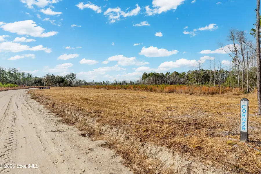 Lot 16 Lanes Church Road, Brooklet, GA 30415 - #2