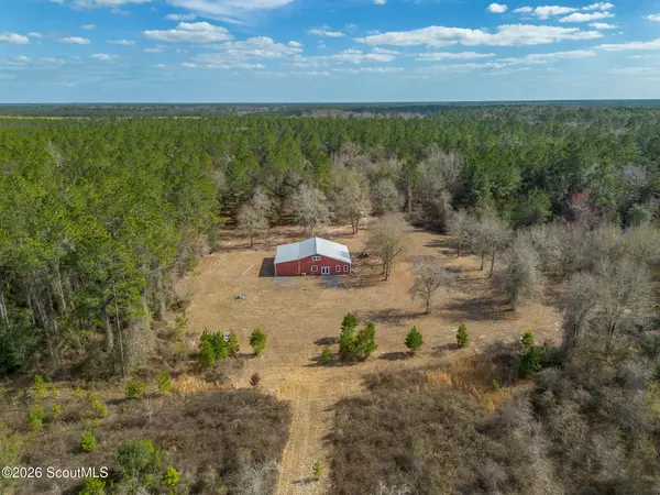 Tract 2 - 12321 Highway 185, Saint George, GA 31562
