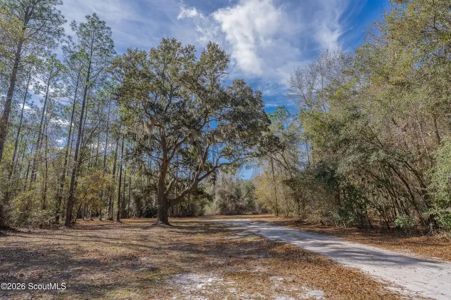 Tract 1 - 12321 Highway 185, Saint George, GA 31562 - #3