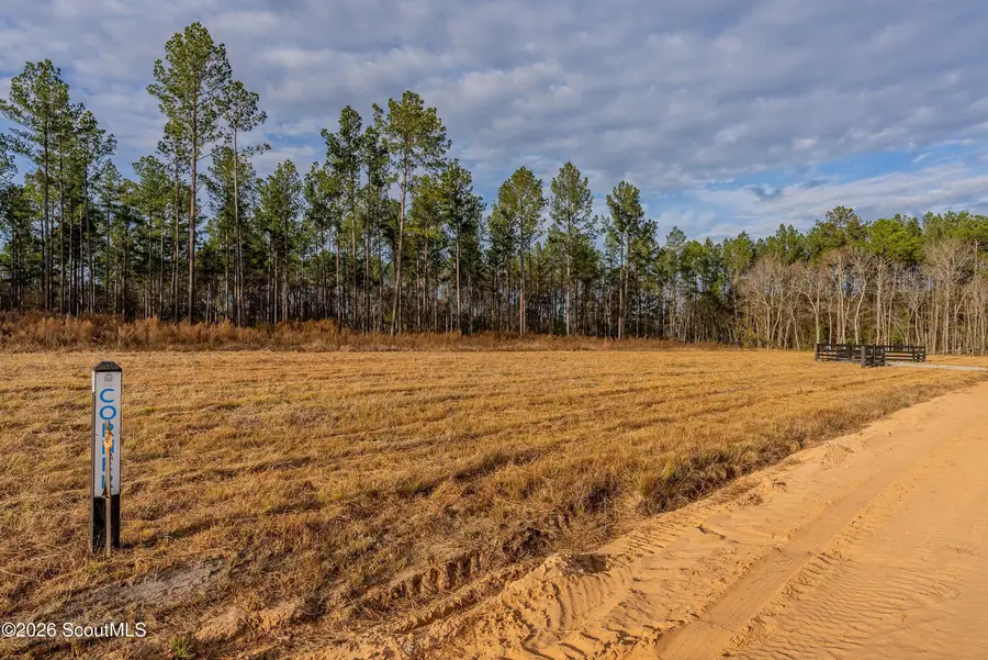 Lot 6 Arcola Road, Brooklet, GA 30415 - #2