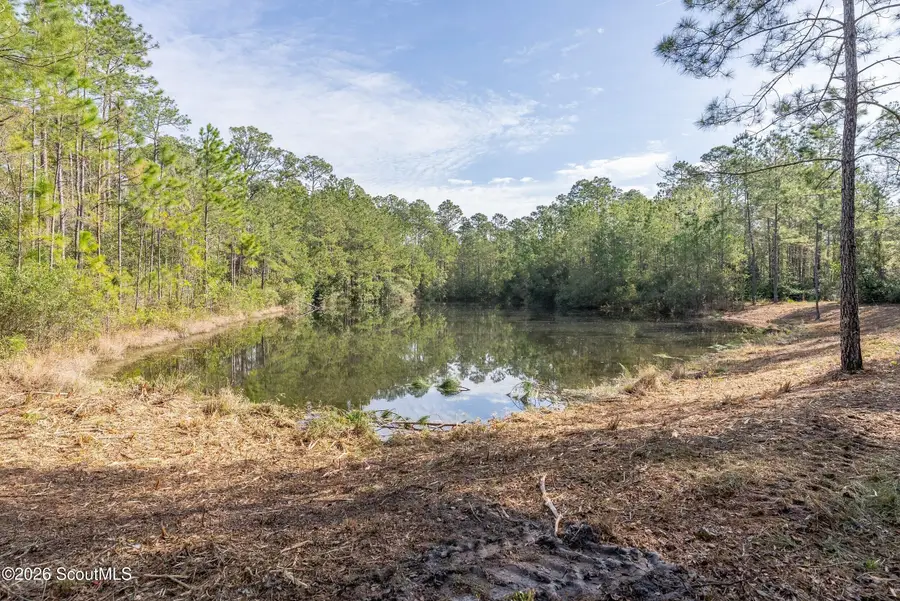 Tract 2 Us 17 Highway, Waverly, GA 31565 - #2