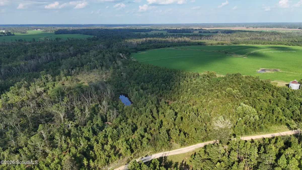 Tract 3 Rhonda Coleman Road, Hazlehurst, GA 31539 - #1