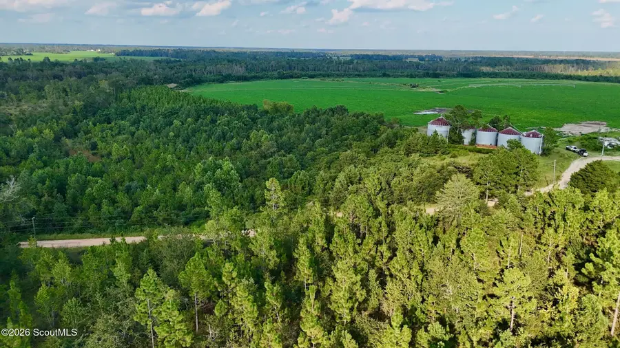 Tract 3 Rhonda Coleman Road, Hazlehurst, GA 31539 - #2