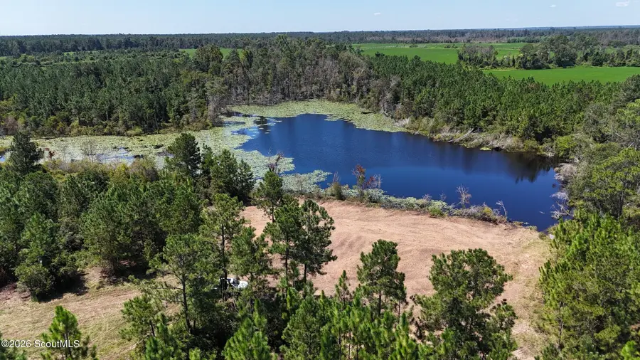 Tract 2 Rhonda Coleman Road, Hazlehurst, GA 31539 - #2