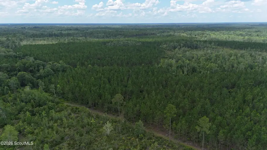 0 Fire Tower Road, Manor, GA 31550 - #3