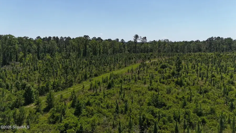 0 Deer Run Road, Vidalia, GA 30474 - #3