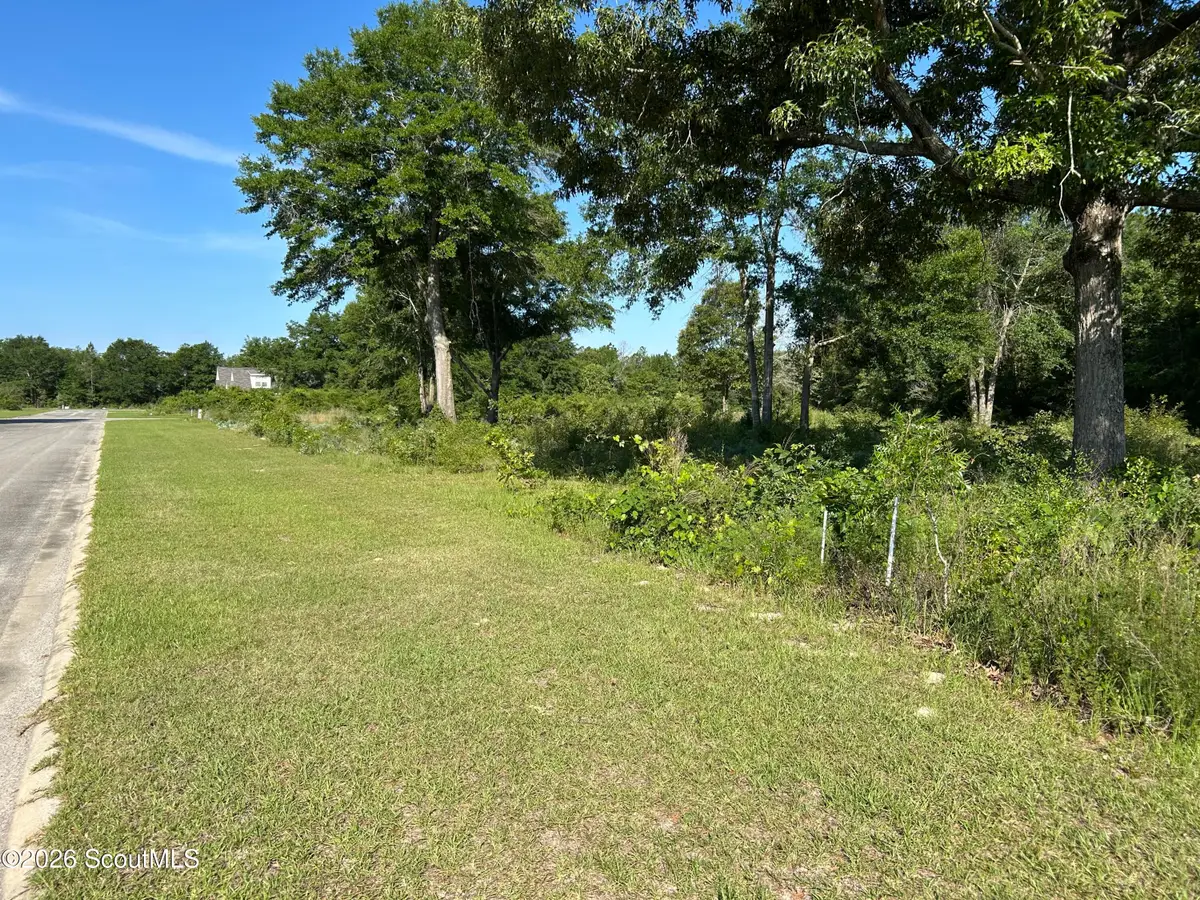 177 Northshore Avenue, Jesup, GA 31545 - #1