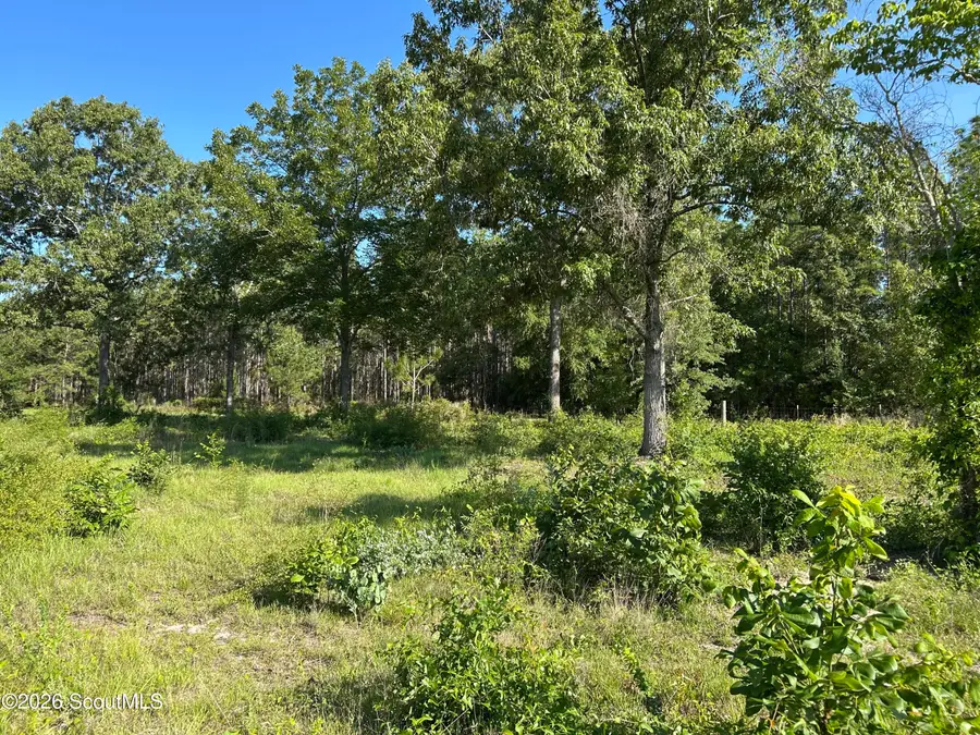 177 Northshore Avenue, Jesup, GA 31545 - #3