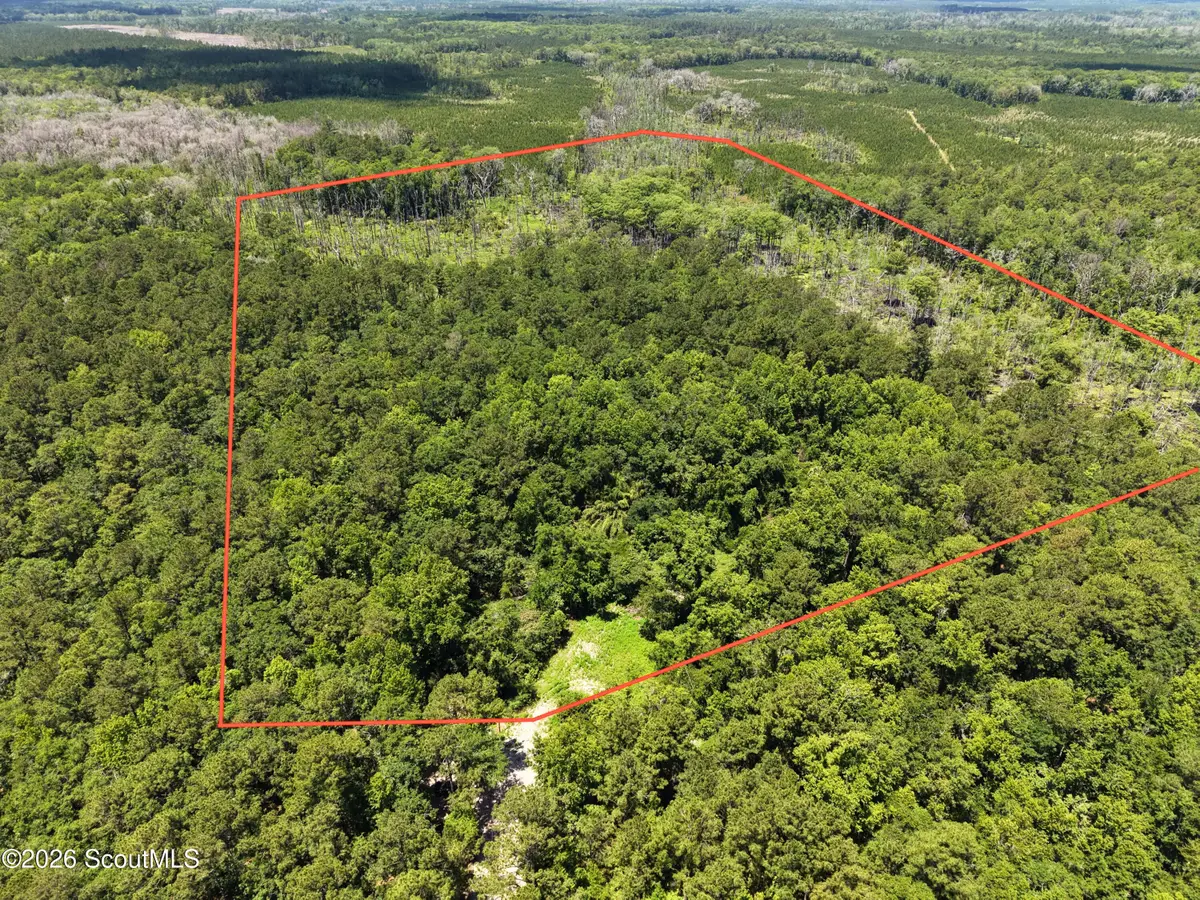 0 Maple Ford Road, Waverly, GA 31565 - #1