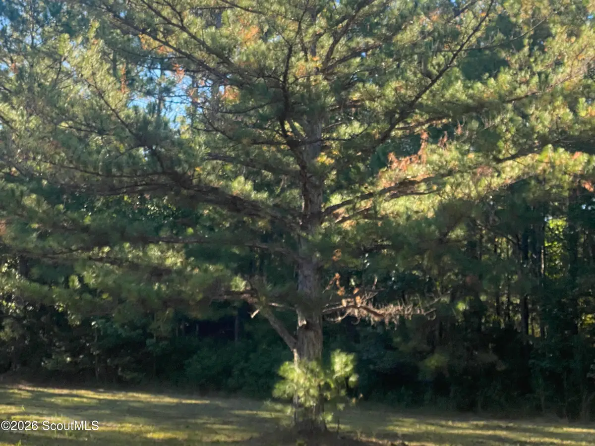 None Shellman Bluff Road Ne, Townsend, GA 31331 - #1