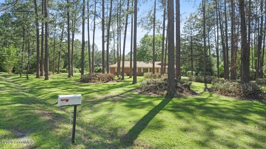 285 Knotty Pine Drive, Jesup, GA 31545 - #2