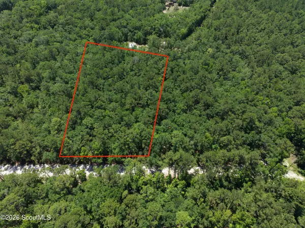 0 Maple Ford Road, Waverly, GA 31565