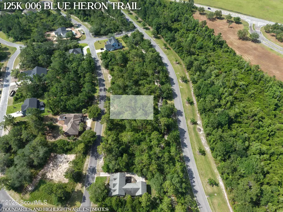 Lot 6 Blue Heron Trail #6, Waverly, GA 31565 - #3