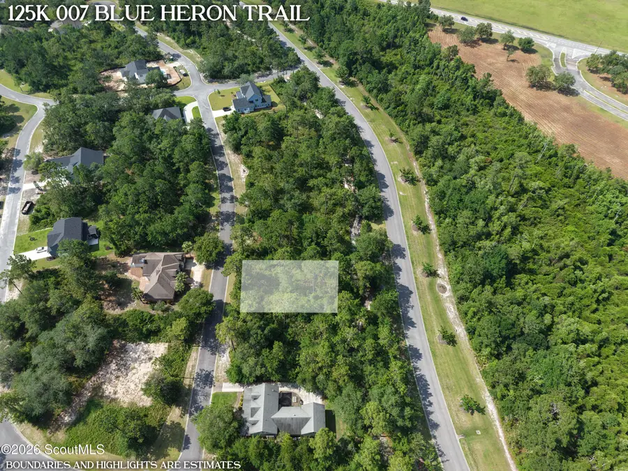 Lot 7 Blue Heron Trail #7, Waverly, GA 31565 - #3