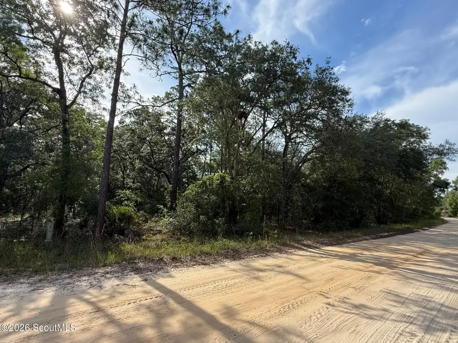 1605 Stafford Road, Waynesville, GA 31566 - #3